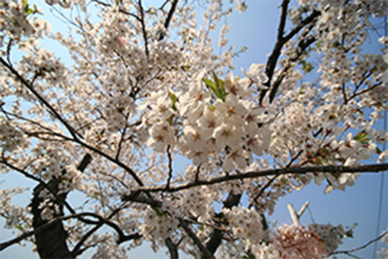 東明公園